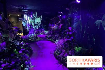 Forêt Bioluminescente - Serre Papillons