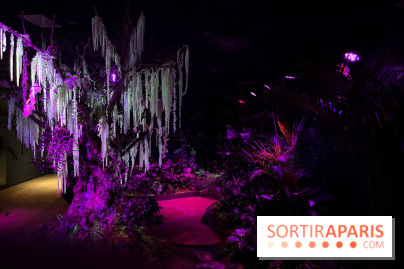 Forêt Bioluminescente - Serre Papillons