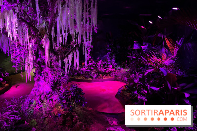 Forêt Bioluminescente - Serre Papillons