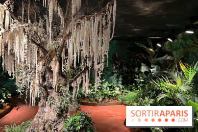 Serre Papillons - La Queue-lez-Yvelines