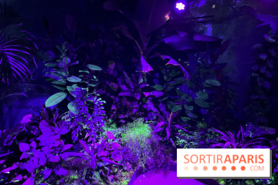 Forêt Bioluminescente - Serre Papillons