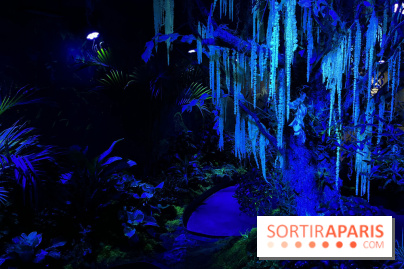 Forêt Bioluminescente - Serre Papillons