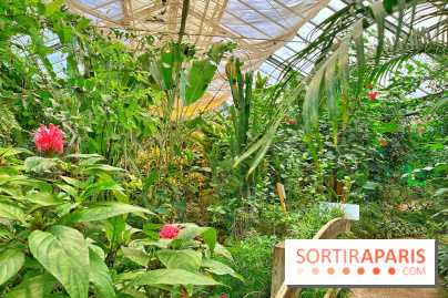 Serre Papillons - La Queue-lez-Yvelines