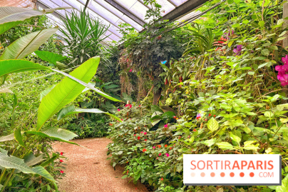 Serre Papillons - La Queue-lez-Yvelines