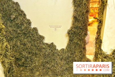 Le Chant des Forêts, l'exposition sensible et gratuite du Maif Social Club