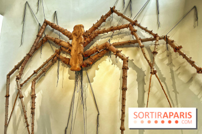 Le Chant des Forêts, l'exposition sensible et gratuite du Maif Social Club