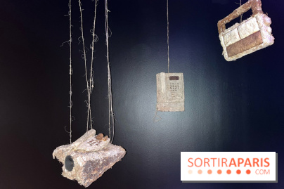 Le Chant des Forêts, l'exposition sensible et gratuite du Maif Social Club