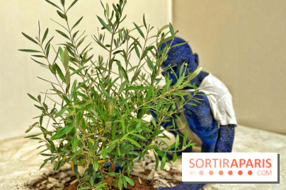 Le Chant des Forêts, l'exposition sensible et gratuite du Maif Social Club