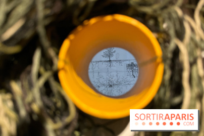 Le Chant des Forêts, l'exposition sensible et gratuite du Maif Social Club