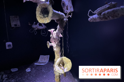 Le Chant des Forêts, l'exposition sensible et gratuite du Maif Social Club