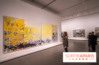 Exposition Monet - Mitchell Fondation Vuitton - Joan Mitchell  -  impressionnisme abstrait