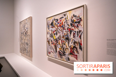 Exposition Monet - Mitchell Fondation Vuitton - Joan Mitchell  -  impressionnisme abstrait