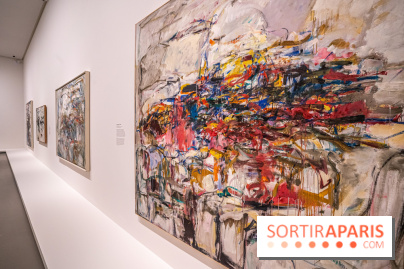 Exposition Monet - Mitchell Fondation Vuitton - Joan Mitchell  -  impressionnisme abstrait