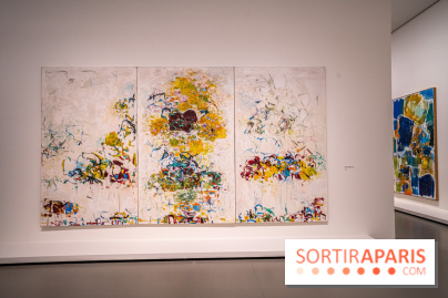Exposition Monet - Mitchell Fondation Vuitton - Joan Mitchell  -  impressionnisme abstrait