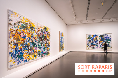 Exposition Monet - Mitchell Fondation Vuitton - Joan Mitchell  -  impressionnisme abstrait