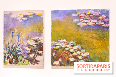 Exposition Monet - Mitchell Fondation Vuitton