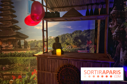 Spa Luxury Paris, un moment de détente immersif dans des décors de rêve