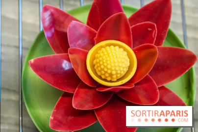 L'Éclair de Génie Café Paris - nénuphar framboise