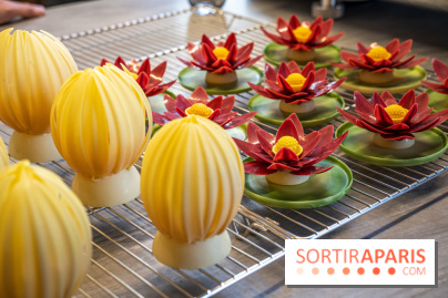 L'Éclair de Génie Café Paris - nénuphar