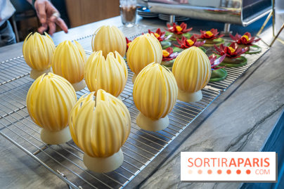 L'Éclair de Génie Café Paris - nénuphar