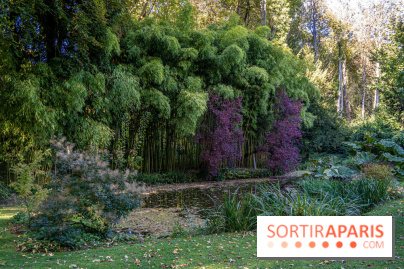 Le Jardin japonais du Château de Courances