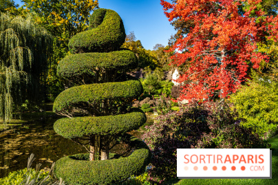 Le Jardin japonais du Château de Courances