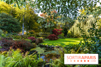 Le Jardin japonais du Château de Courances