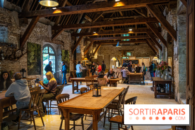 Le Jardin japonais du Château de Courances