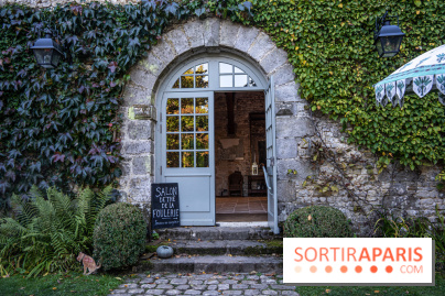 Le Jardin japonais du Château de Courances