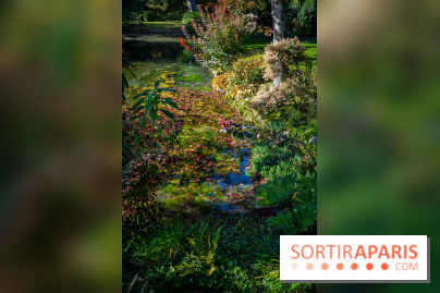 Le Jardin japonais du Château de Courances