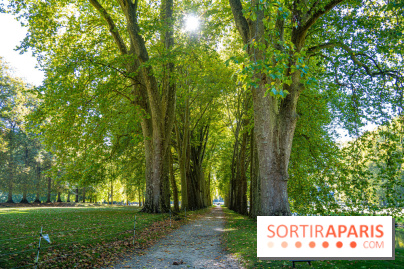 Parc et Domaine du Château de Courances