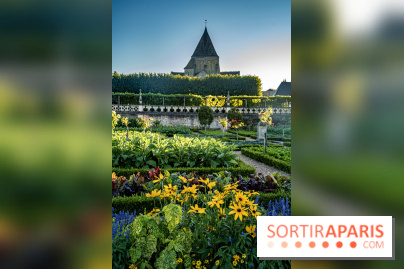 Le Château de Villandry et ses jardins