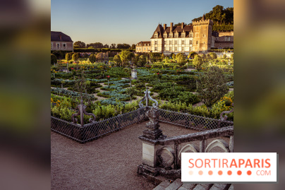 Le Château de Villandry et ses jardins