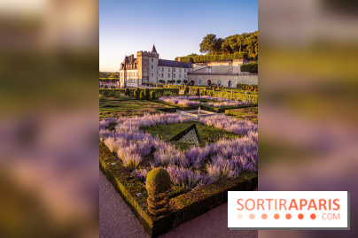 Le Château de Villandry et ses jardins