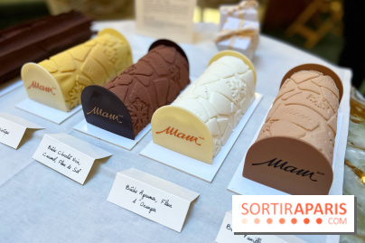 Bûches de Noël 2022 MAM