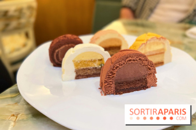 Bûches de Noël 2022 MAM - Découpes