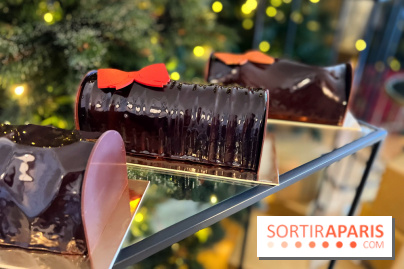 Bûches de Noël 2022 Maison du Chocolat