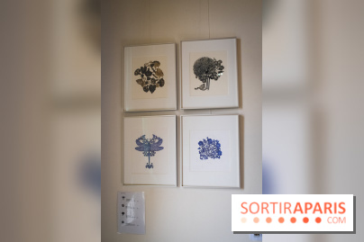 Demoiselle Nature, l'exposition de Michael Cailloux au Cercle Suédois