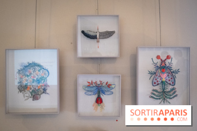 Demoiselle Nature, l'exposition de Michael Cailloux au Cercle Suédois