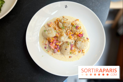 Restaurant Ardent - Saint-Jacques