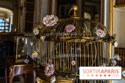 Les appartements de Madame Du Barry restaurés au Château de Versailles - bibliothèque