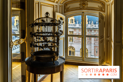 Les appartements de Madame Du Barry restaurés au Château de Versailles - bibliothèque