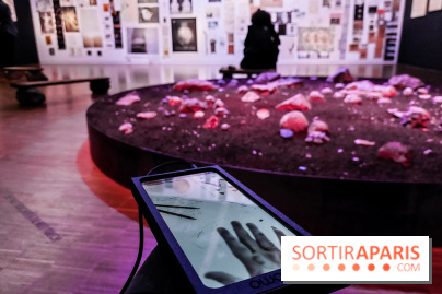 Patti Smith & Soundwalk Collective au Centre Pompidou, nos photos