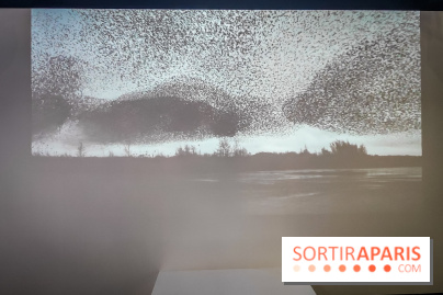 Foules, l'exposition interactive de la Cité des Sciences et de l'Industrie - nos photos