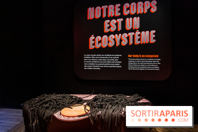 Mini-monstres, nos photos de l'exposition à la galerie de Géologie du Muséum d'Histoire naturelle