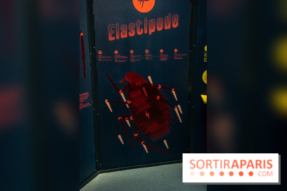 Mini-monstres, nos photos de l'exposition à la galerie de Géologie du Muséum d'Histoire naturelle