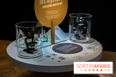 Mini-monstres, nos photos de l'exposition à la galerie de Géologie du Muséum d'Histoire naturelle