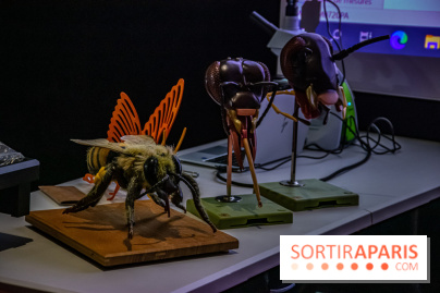 Mini-monstres, nos photos de l'exposition à la galerie de Géologie du Muséum d'Histoire naturelle