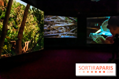 Exposition au Palais de Tokyo : Shéhérazade, la nuit - nos photos