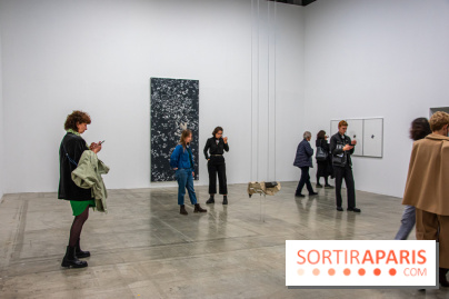 Exposition HUMPTY\DUMPTY au Palais de Tokyo et à Lafayette Anticipations - nos photos